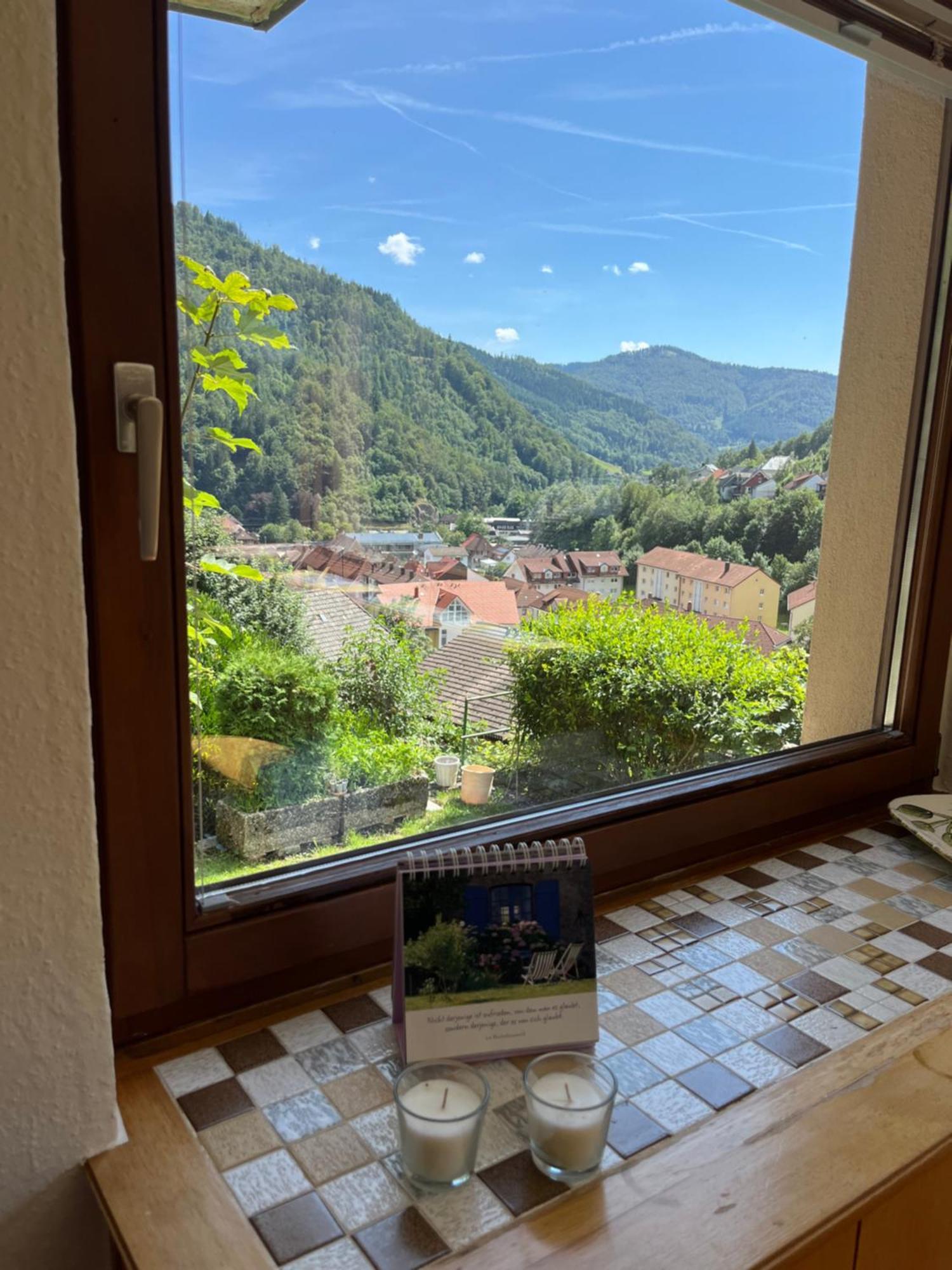 Steiert Panorama Apartments Todtnau Eksteriør billede