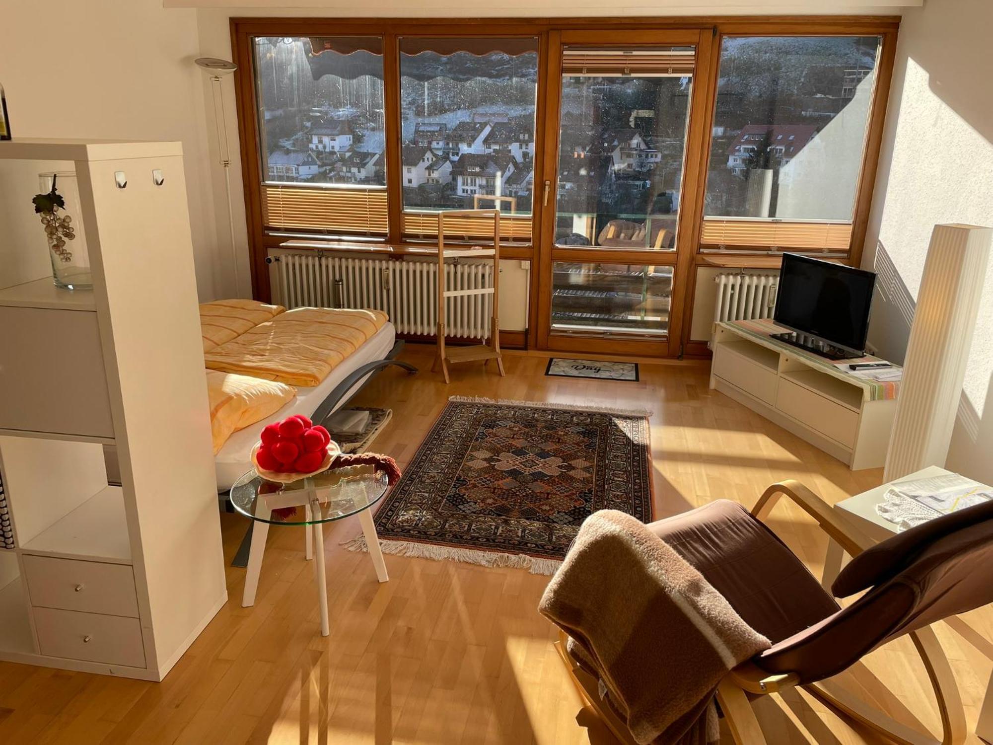 Steiert Panorama Apartments Todtnau Eksteriør billede