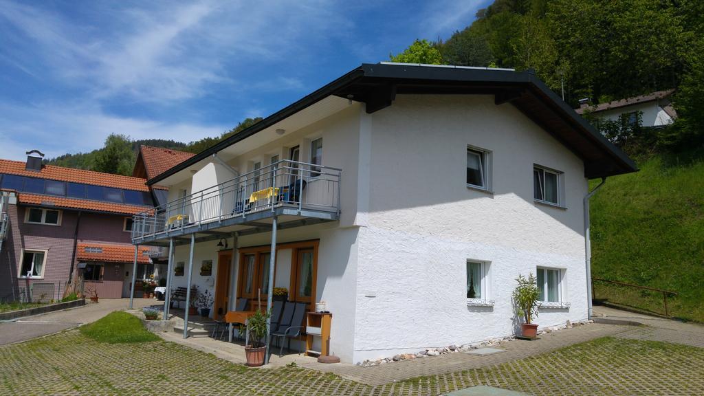 Steiert Panorama Apartments Todtnau Eksteriør billede