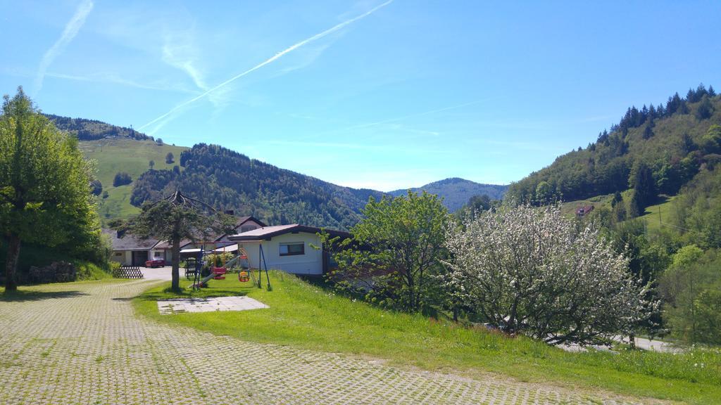 Steiert Panorama Apartments Todtnau Eksteriør billede