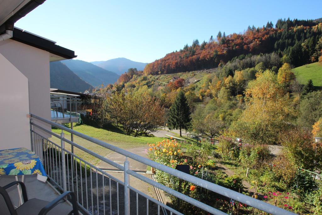 Steiert Panorama Apartments Todtnau Eksteriør billede
