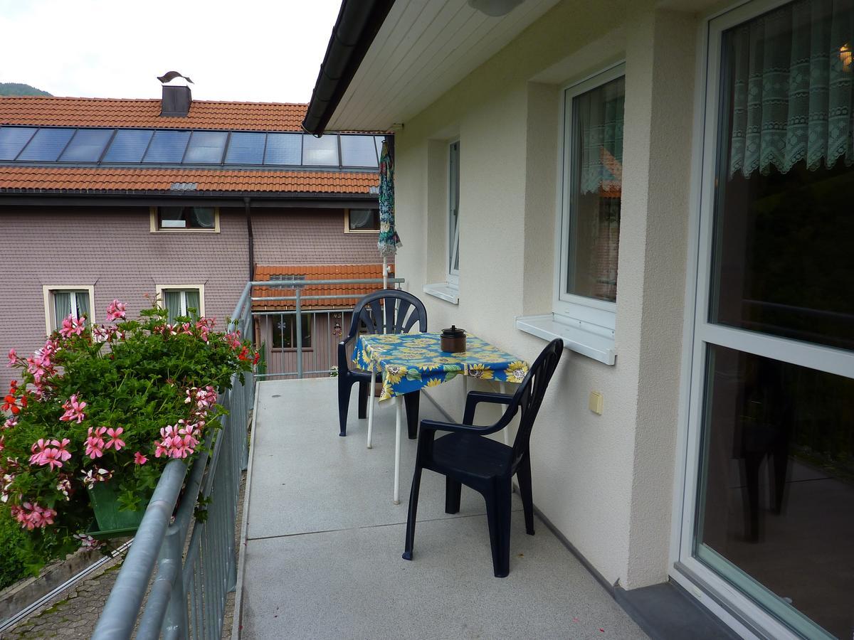 Steiert Panorama Apartments Todtnau Eksteriør billede