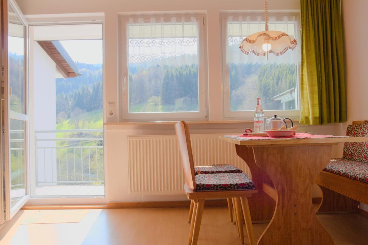 Steiert Panorama Apartments Todtnau Eksteriør billede